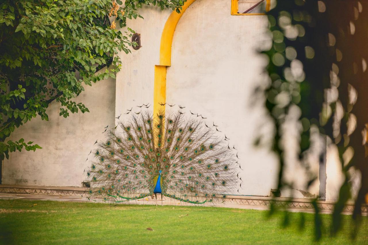 Diggi Palace - A City Center Hidden Heritage Gem Jaipur Exterior photo